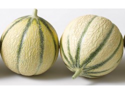 Melon Charentais Bio